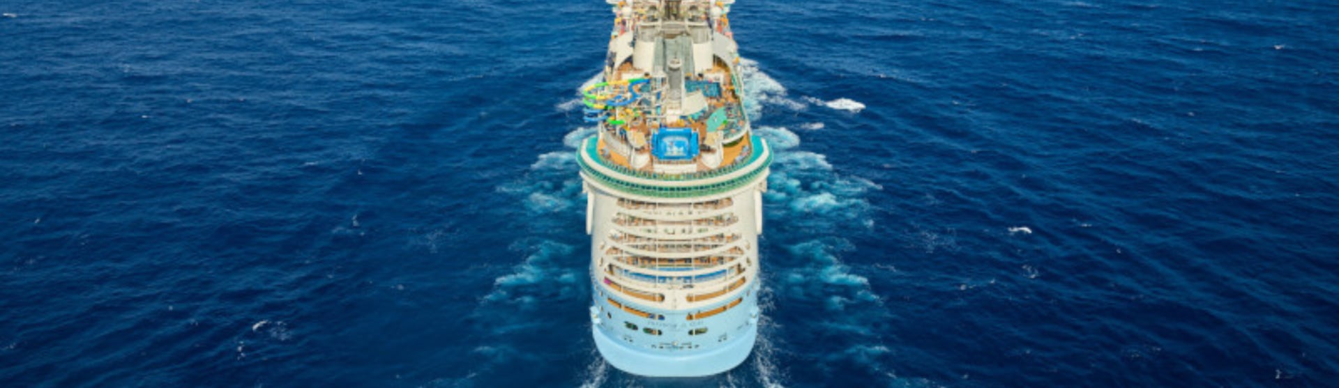 Freedom of the Seas at Sea