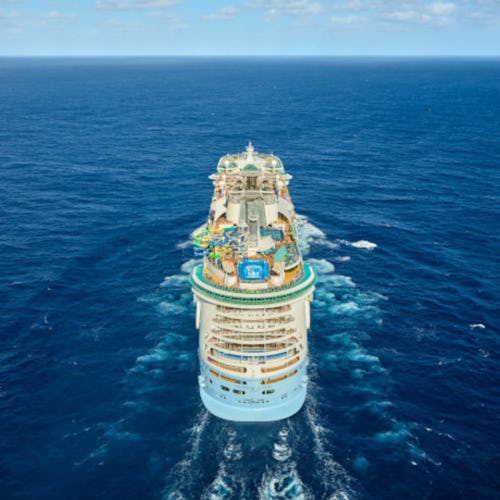 Freedom of the Seas at Sea