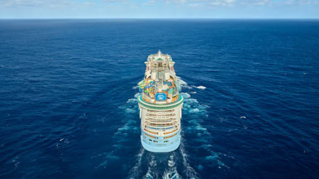Freedom of the Seas at Sea