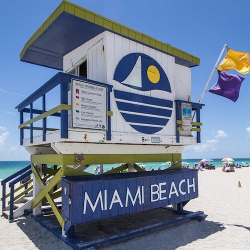 The Miami Grand Prix in Miami