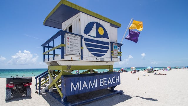 The Miami Grand Prix in Miami