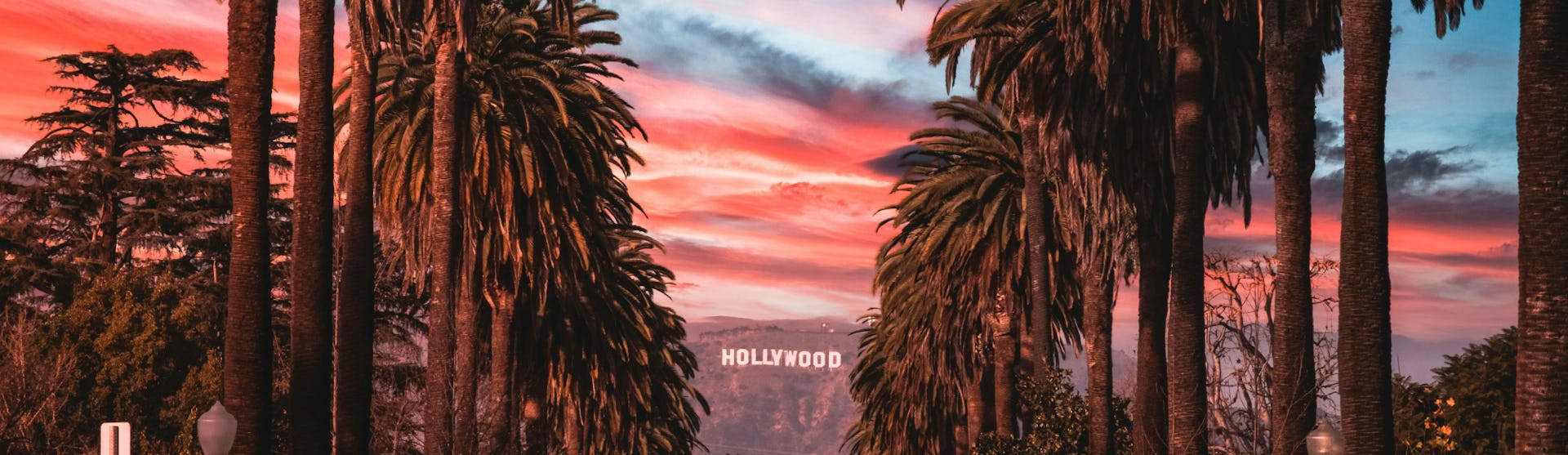Palm trees lining a street in Los Angeles leading to the famous Hollywood sign
