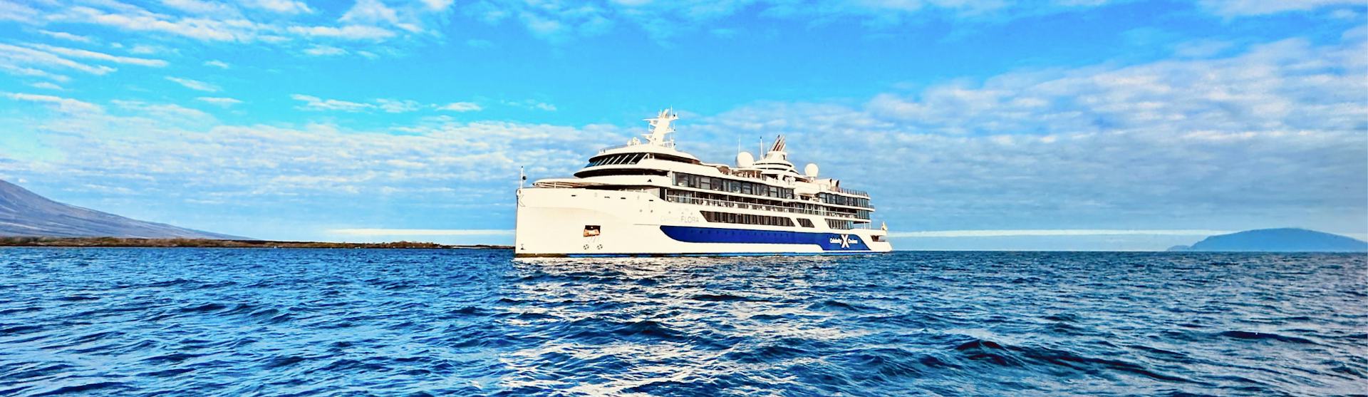 Celebrity Flora in the Galapagos