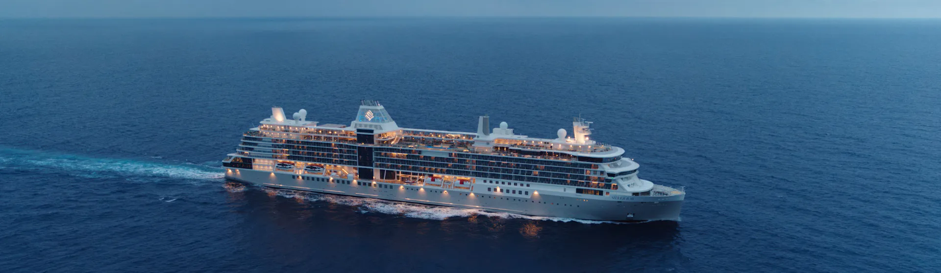Silver Ray at Sea