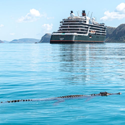 A crocodile swimming in front of Cyclone Creek, in the Kimberley region of Australia