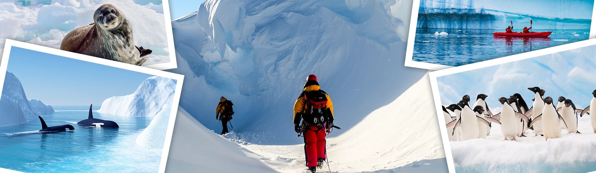 Collage of images from Antarctica cruises