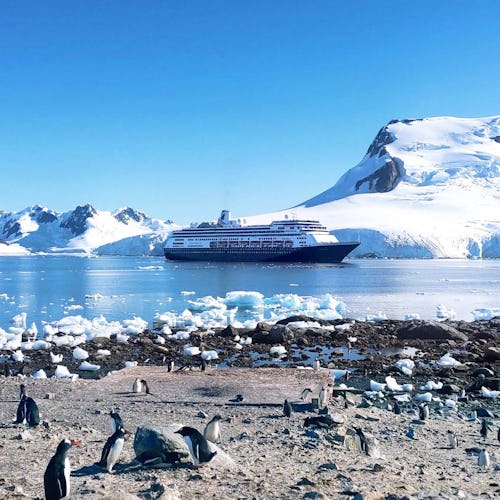 Holland America ship Volendam at the Chilean Research Station in Antarctica