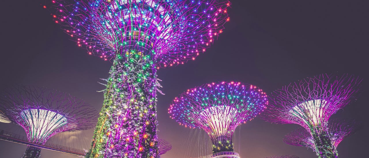 The Supertrees at Gardens by the Bay in Singapore