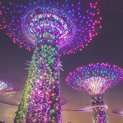 Gardens by the Bay in Singapore