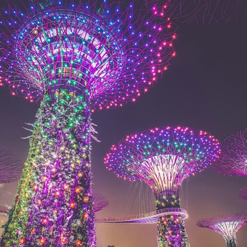 Gardens by the Bay in Singapore