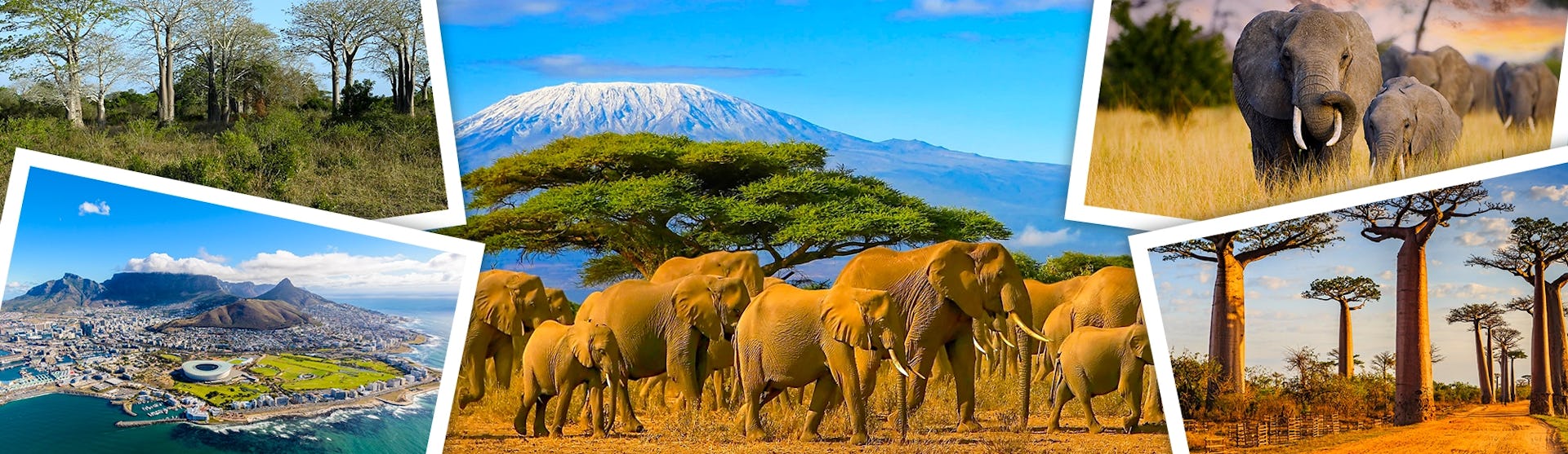 Find your next cruise from Africa.