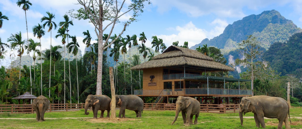 Ethical Elephant Experience at Elephant Hills Luxury Tented Camp in Khao Sok National Park, Thailand.