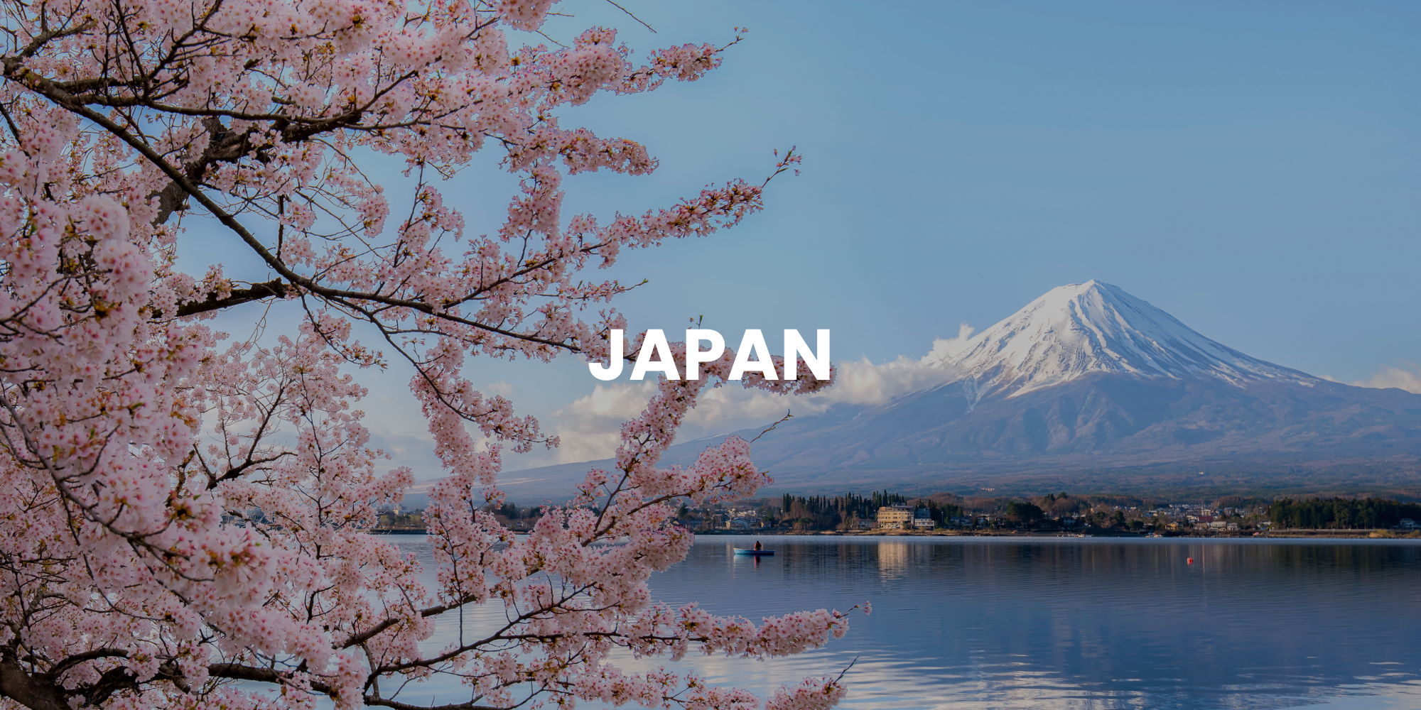 View of Mt Fuji in cherry blossom season