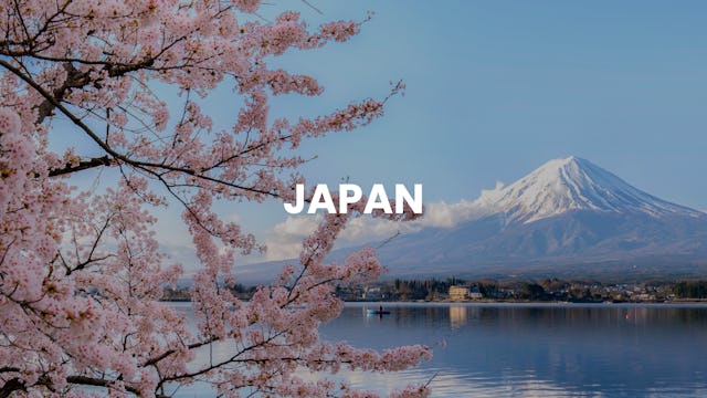 View of Mt Fuji in cherry blossom season
