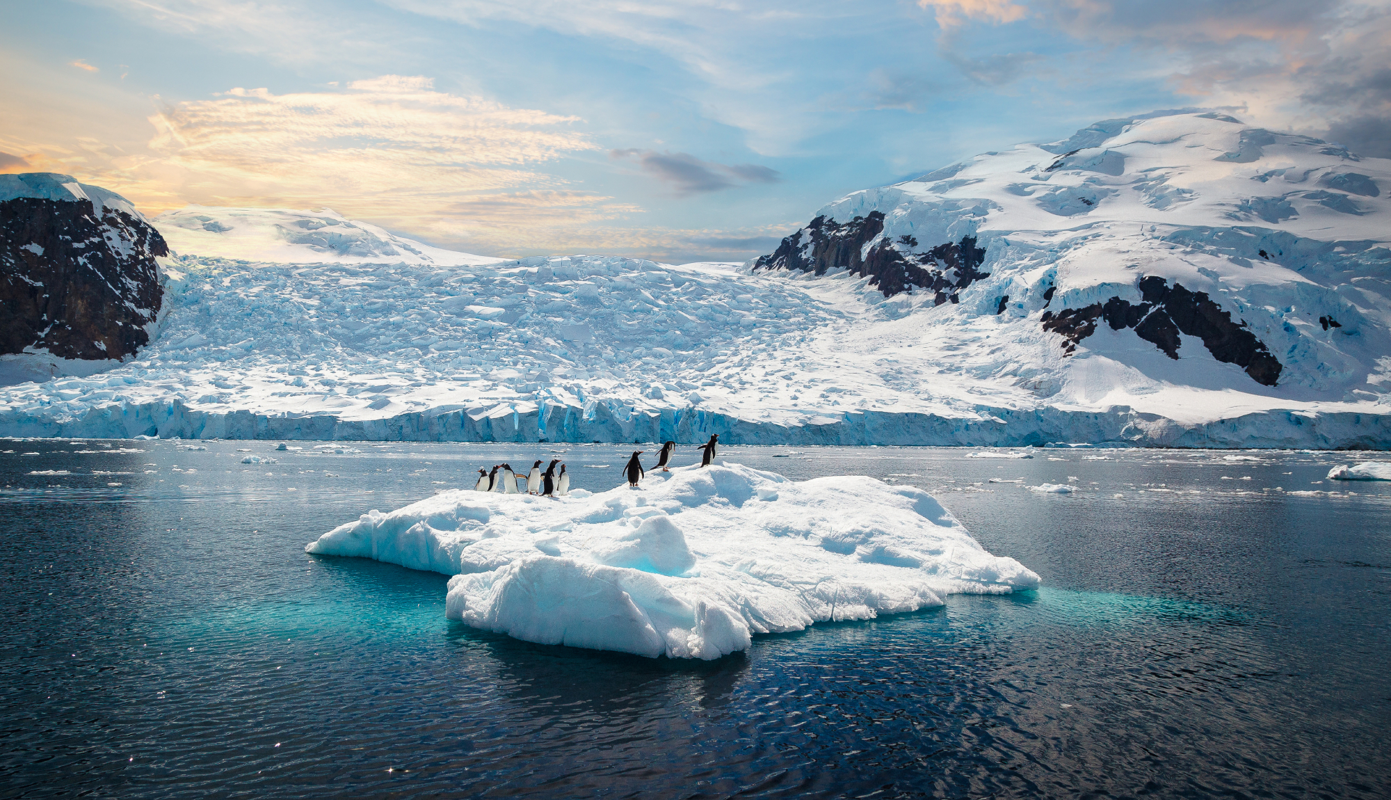 Antarctica Penguins on an Iceberg