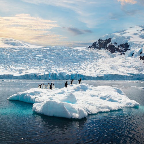 Antarctica Penguins on an Iceberg
