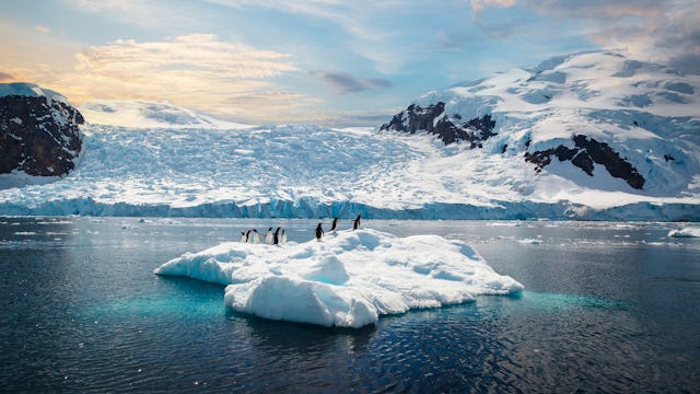 Antarctica Penguins on an Iceberg