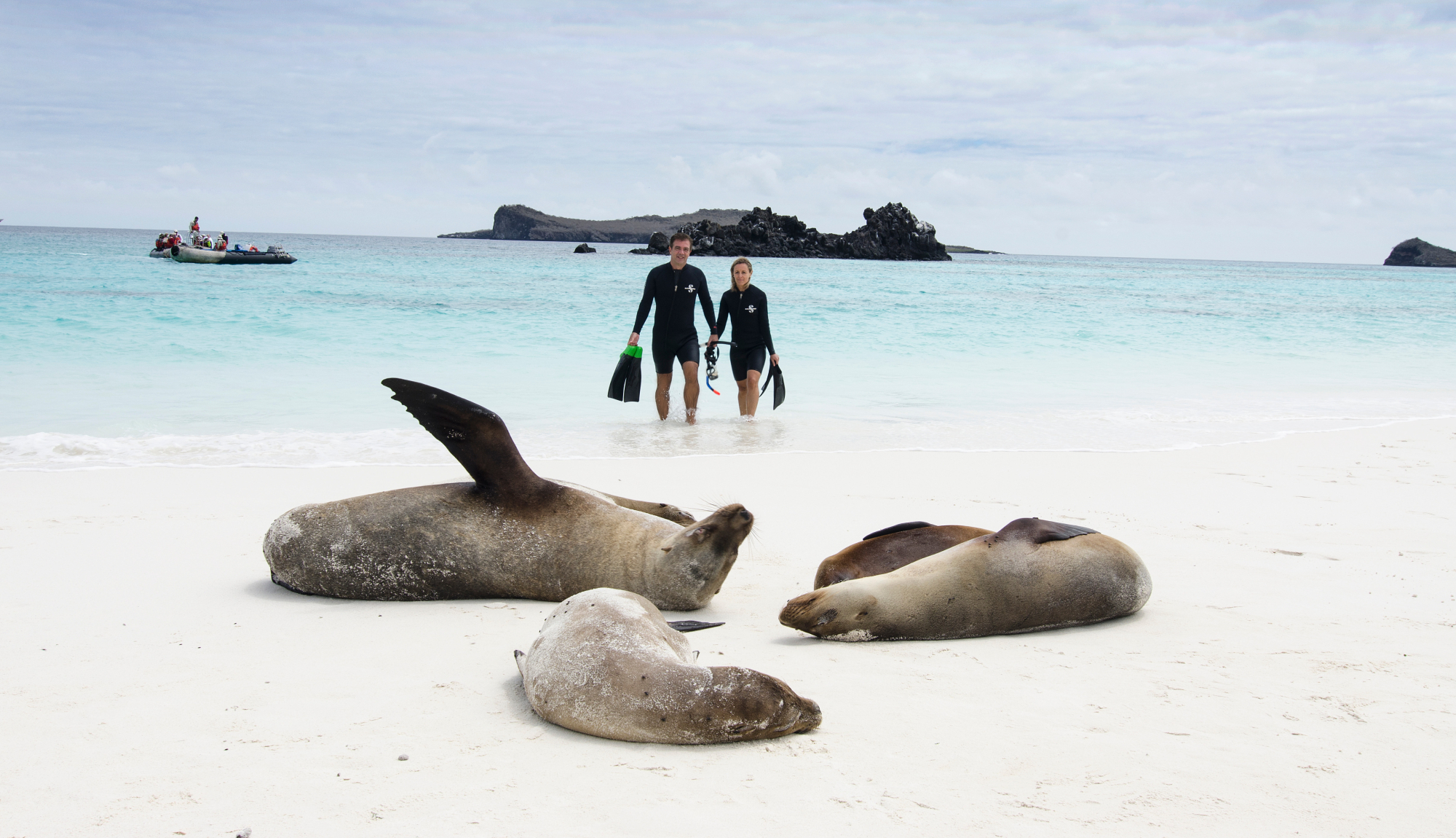 Guided Island Landings