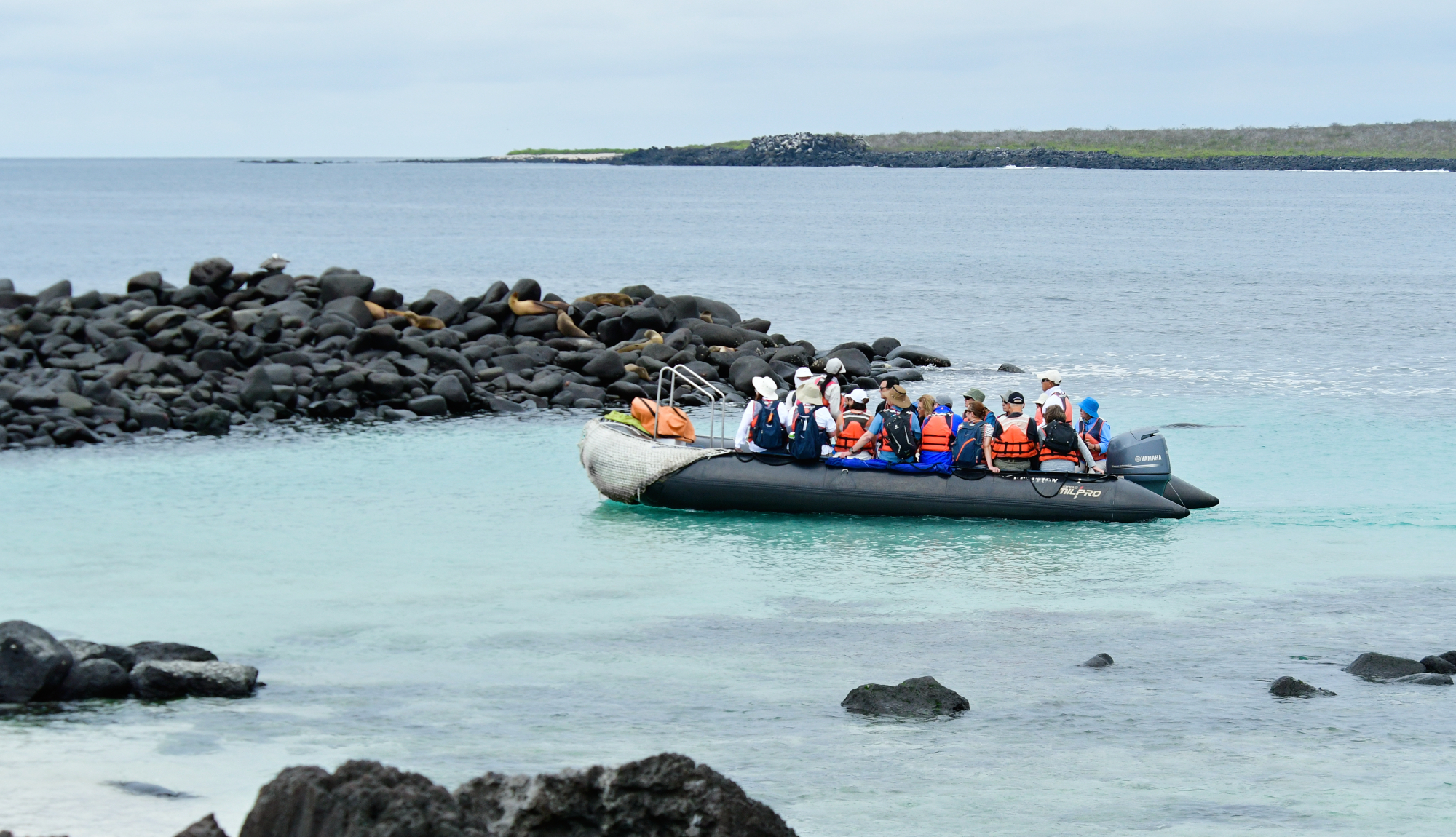 Galápagos Islands, Ecuador - Zodiac landing