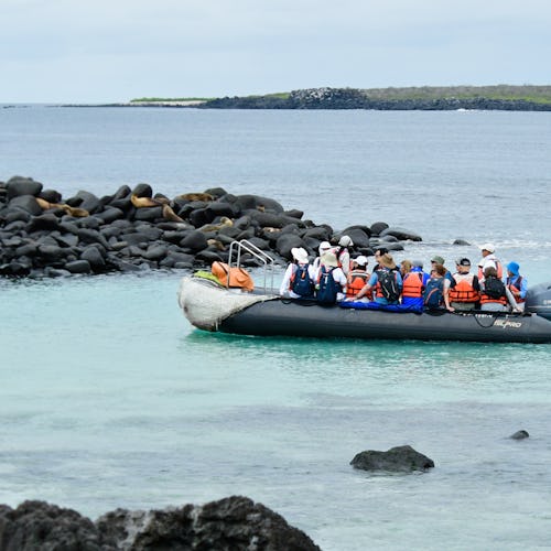 Galápagos Islands, Ecuador - Zodiac landing