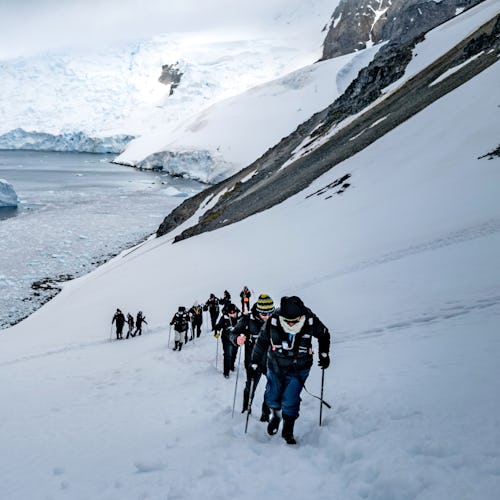 Antarctica Expedition Cruises - Orne Harbour Landing