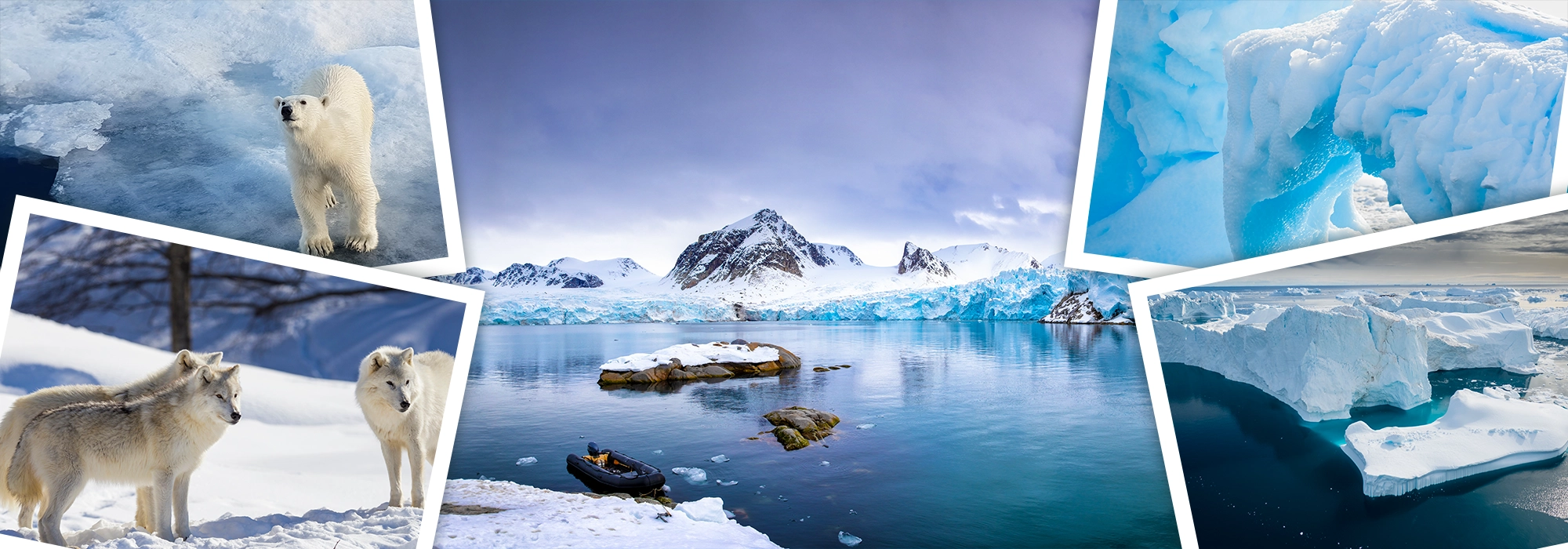 Arctic Destination banner