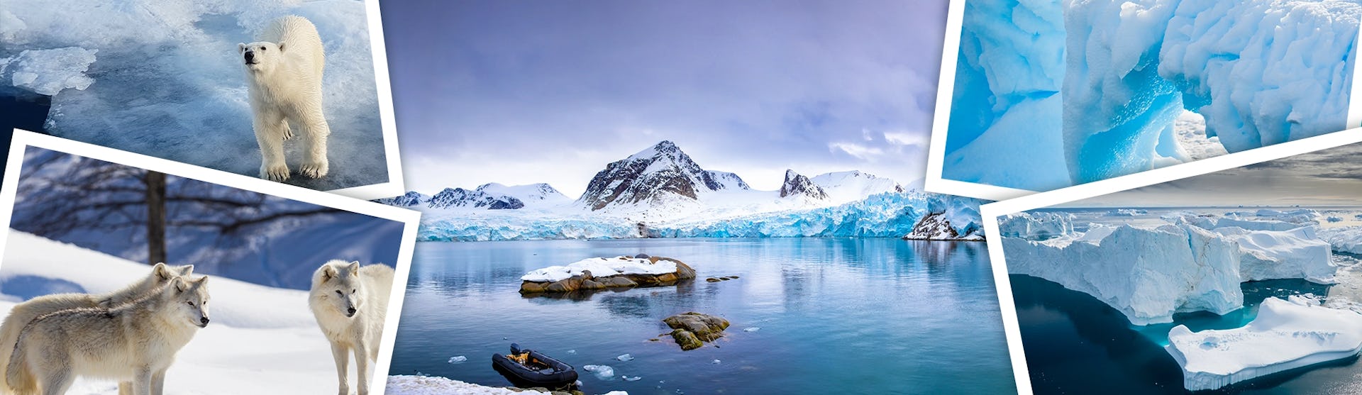 Arctic Destination banner