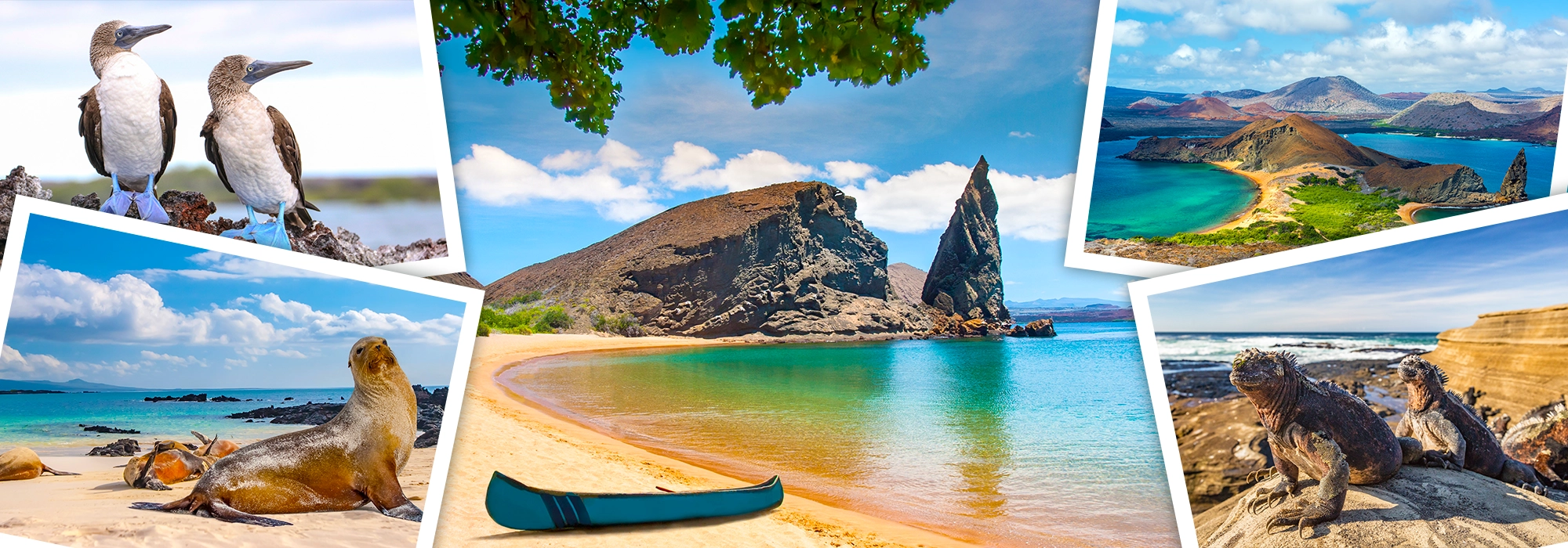 Galapagos Islands banner
