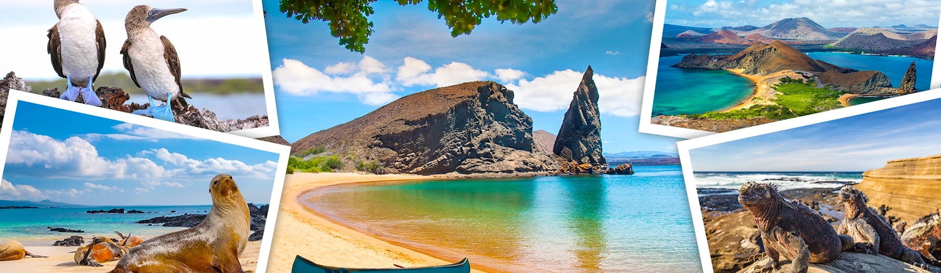 Galapagos Islands banner