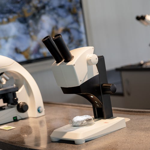 HX Expeditions - MS Spitsbergen - Science Centre