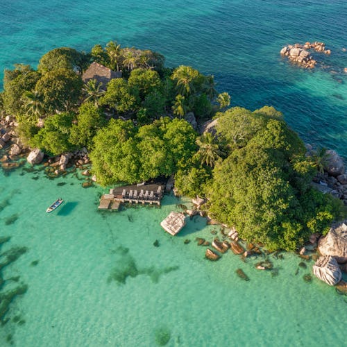 Indian Ocean Expedition - Seychelles