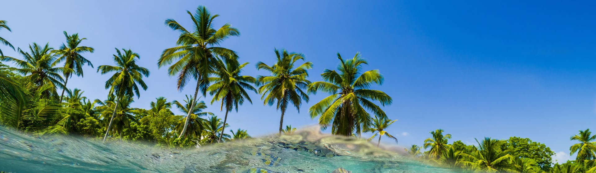 Indian Ocean Expedition - Tropical Fish Underwater