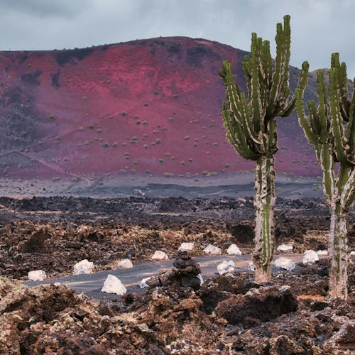 Lanzarote in the Canary Islands