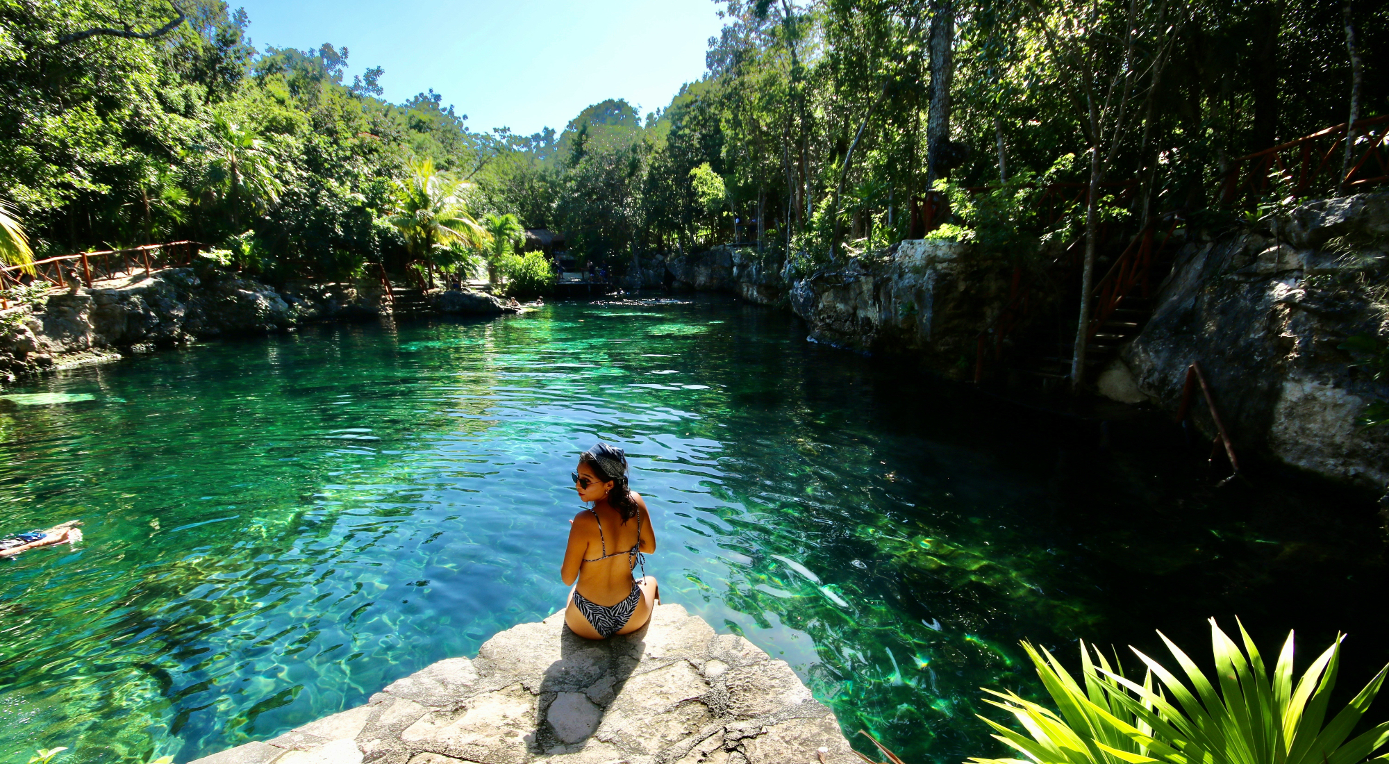 Cenote Tortuga Costa Maya Quintana Roo, Caribe México