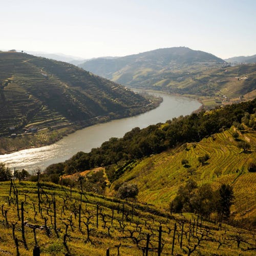 Douro River, Portugal