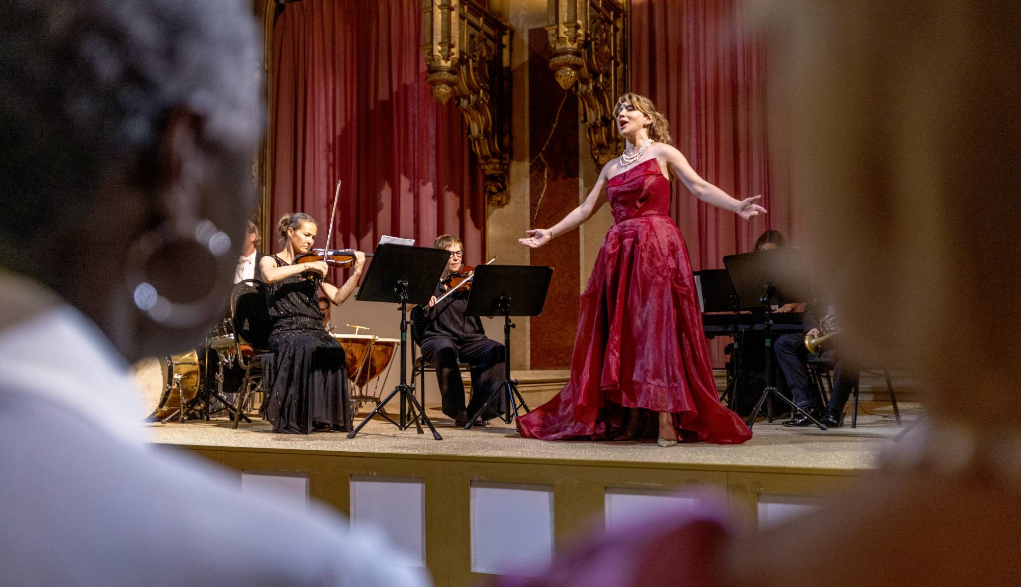 Private Concerts on the Danube River
