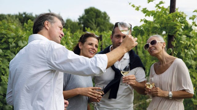 Wine Tastings on the Danube River