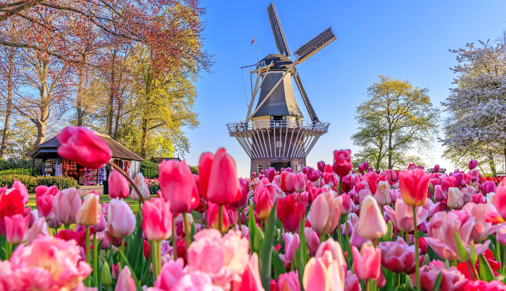 Keukenhof gardens, Netherlands - Rhine River Cruises