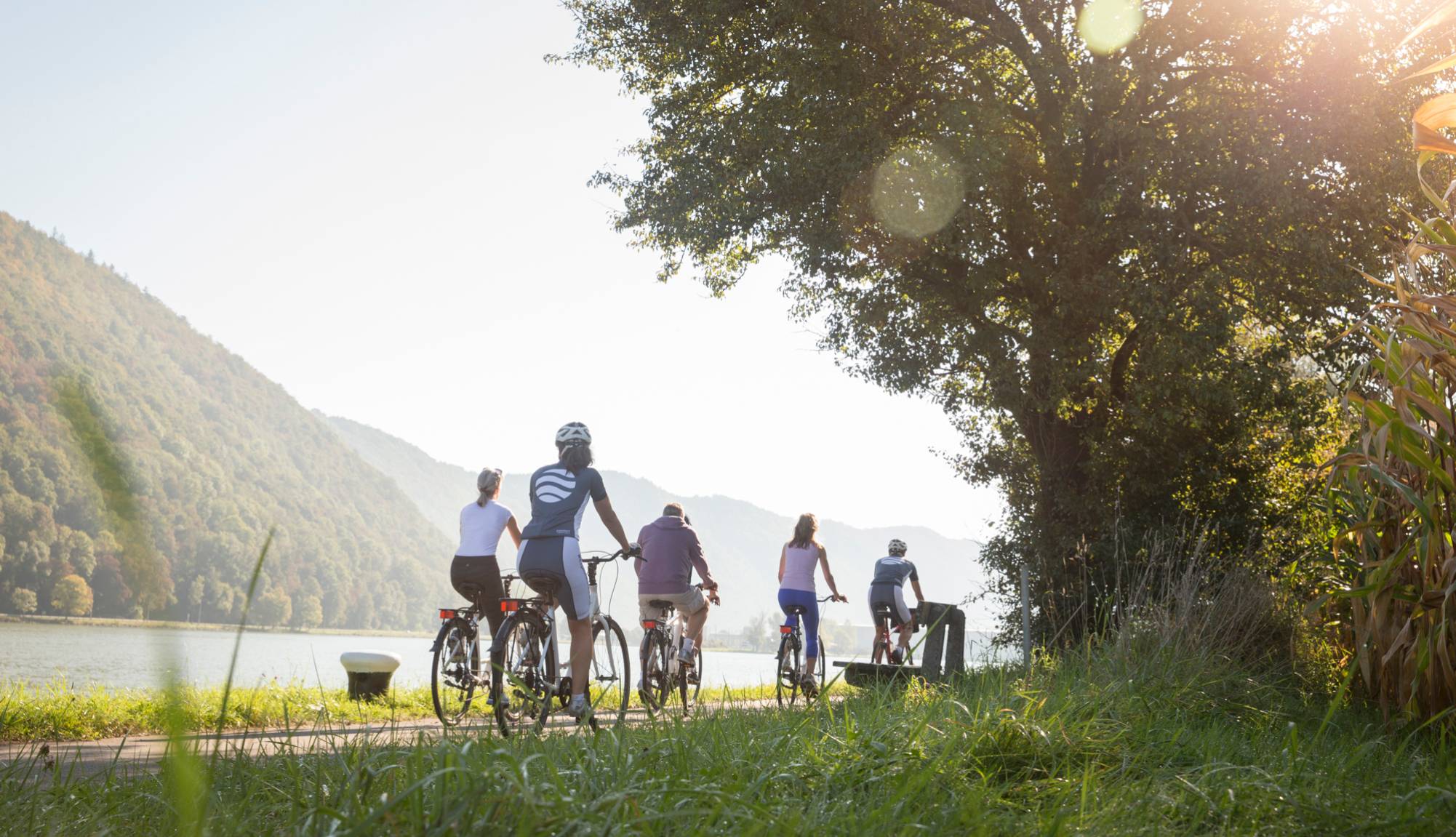 Biking in Engelhartszell, Austria