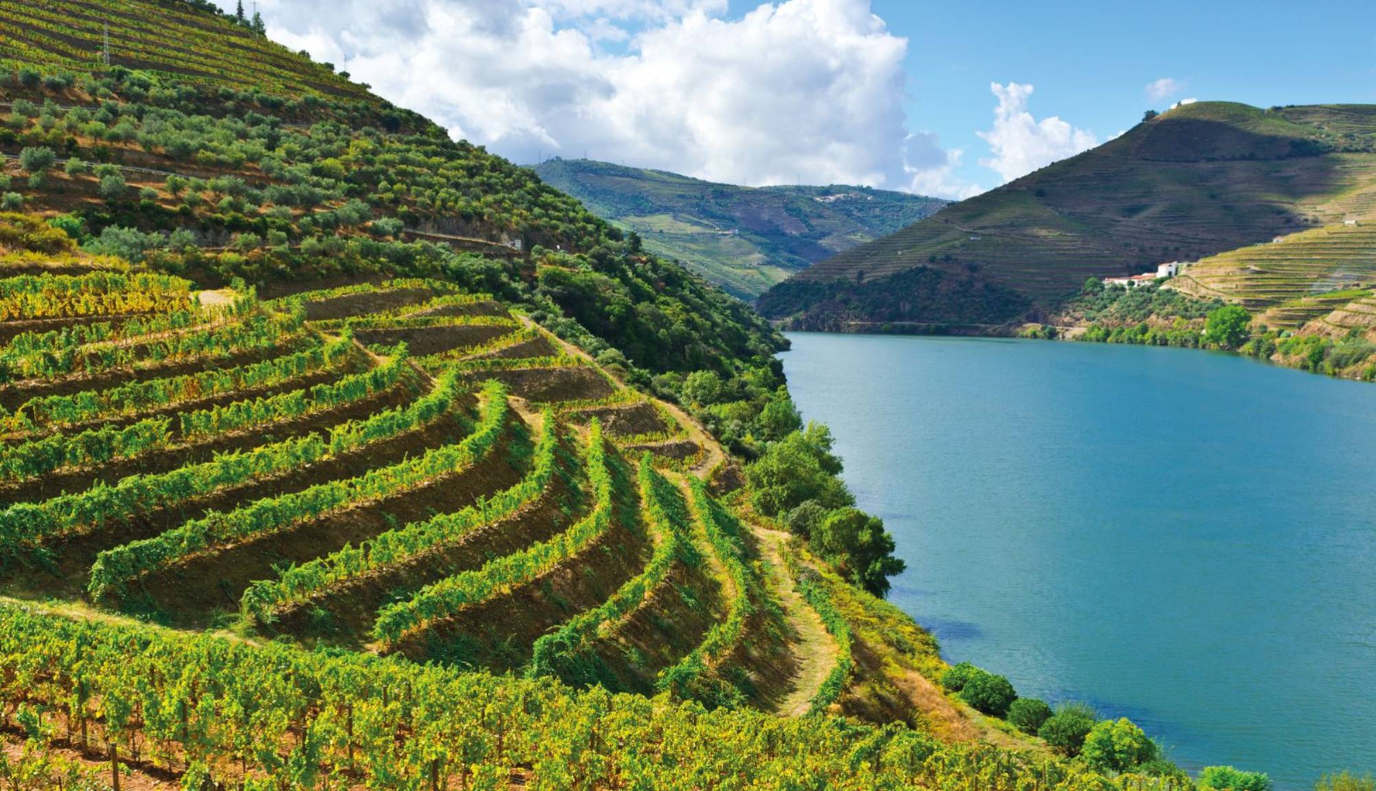 Douro Valley Vineyards - Douro River Cruises