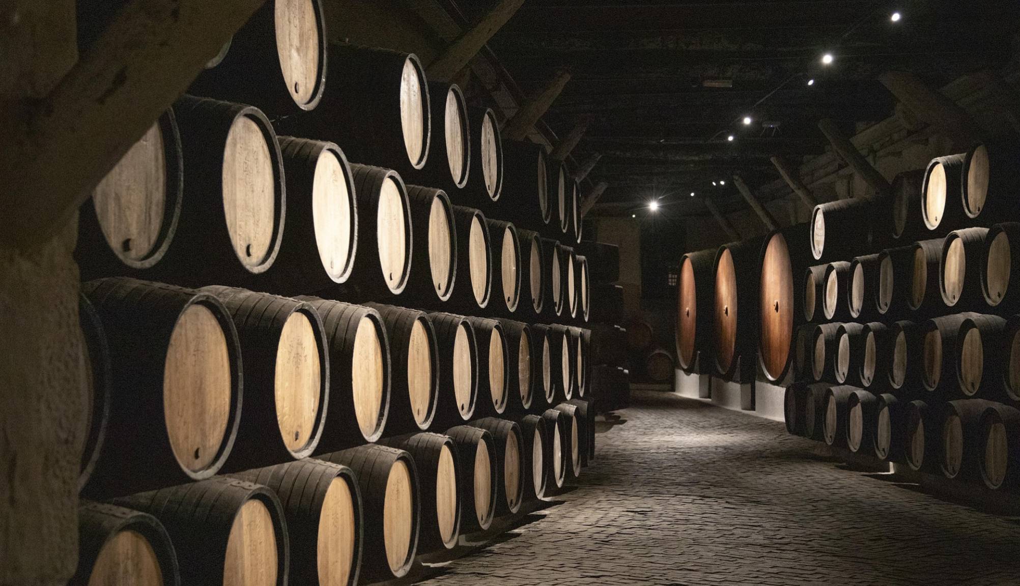 Port Wine, Portugal - Douro River Cruises