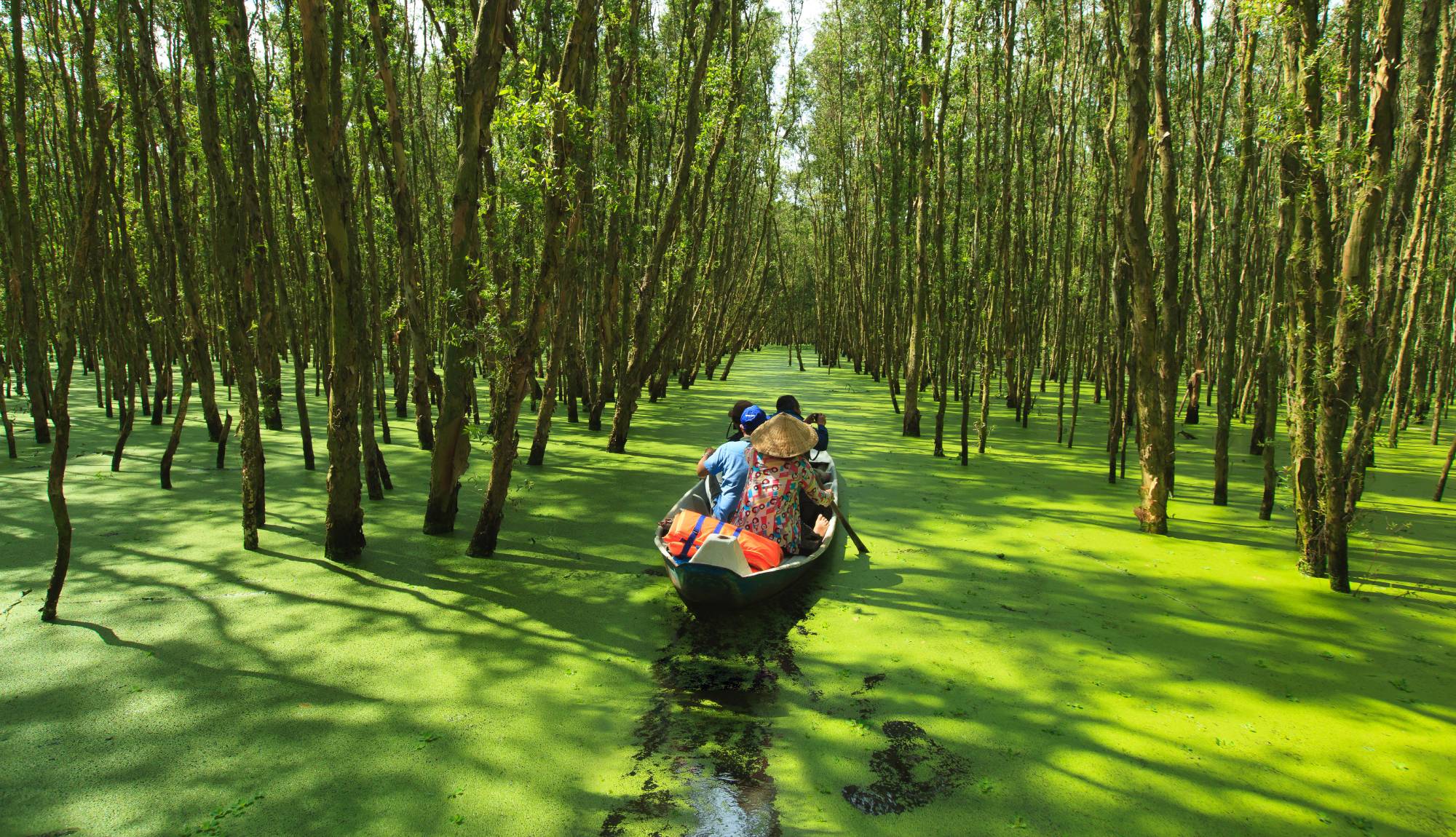 Sampan Canal Cruising - Mekong River Cruises