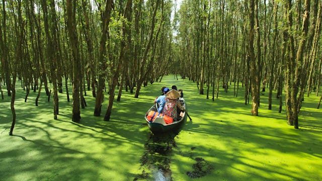 Sampan Canal Cruising - Mekong River Cruises