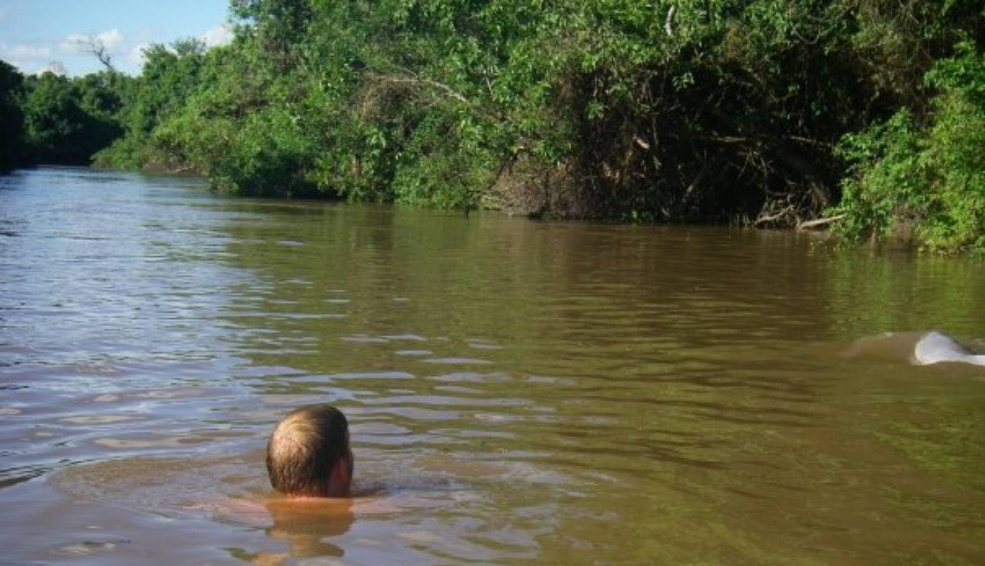 Marco from Paramount Cruises swimming with pink river dolphins in the Amazon