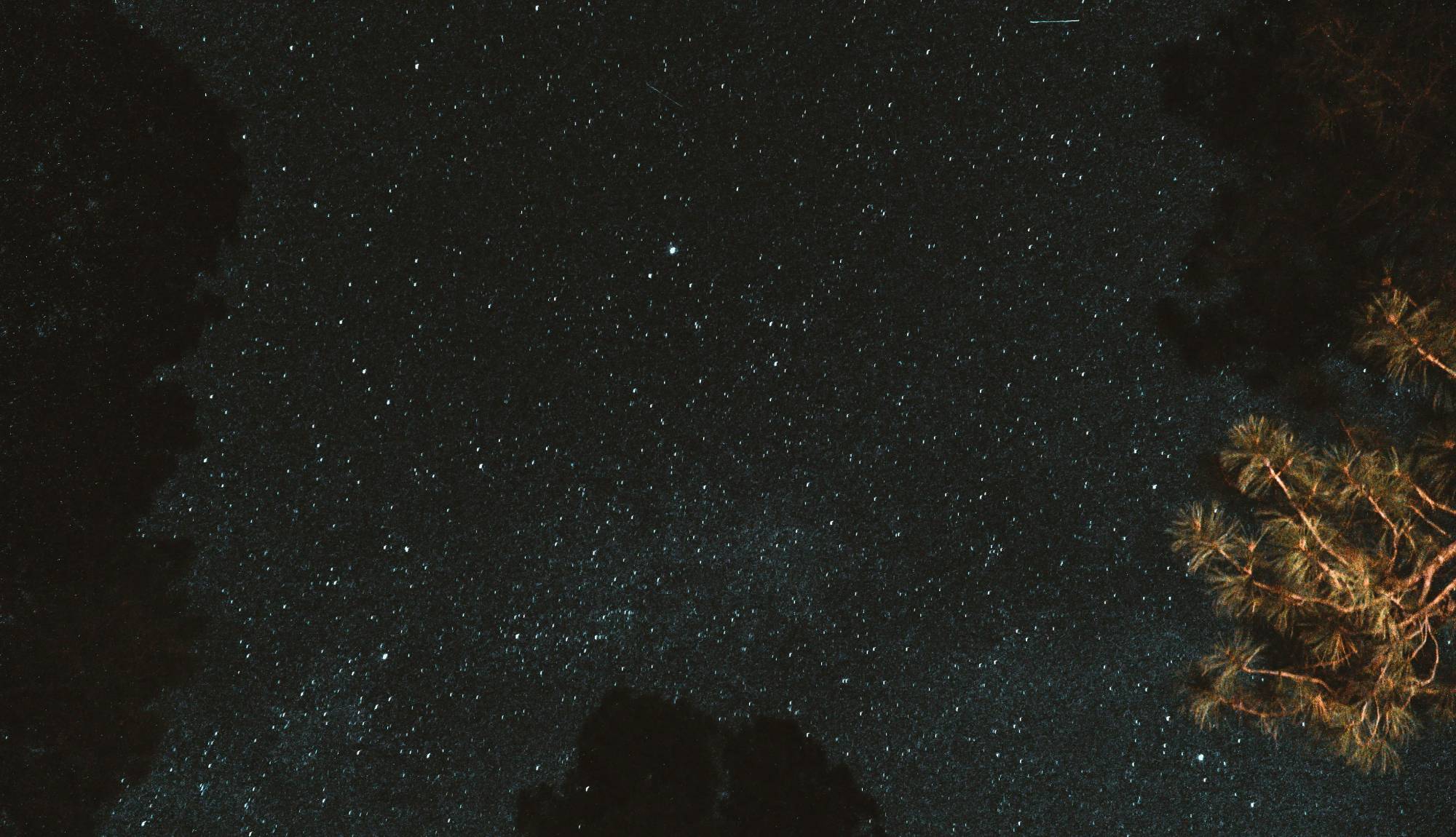 Stargazing on an Amazon River Cruises