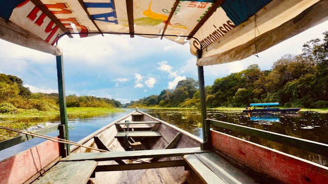Jungle Boat Safari Amazon River Cruises