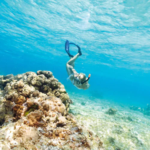 Grand Turk, Turks & Caicos - snorkelling