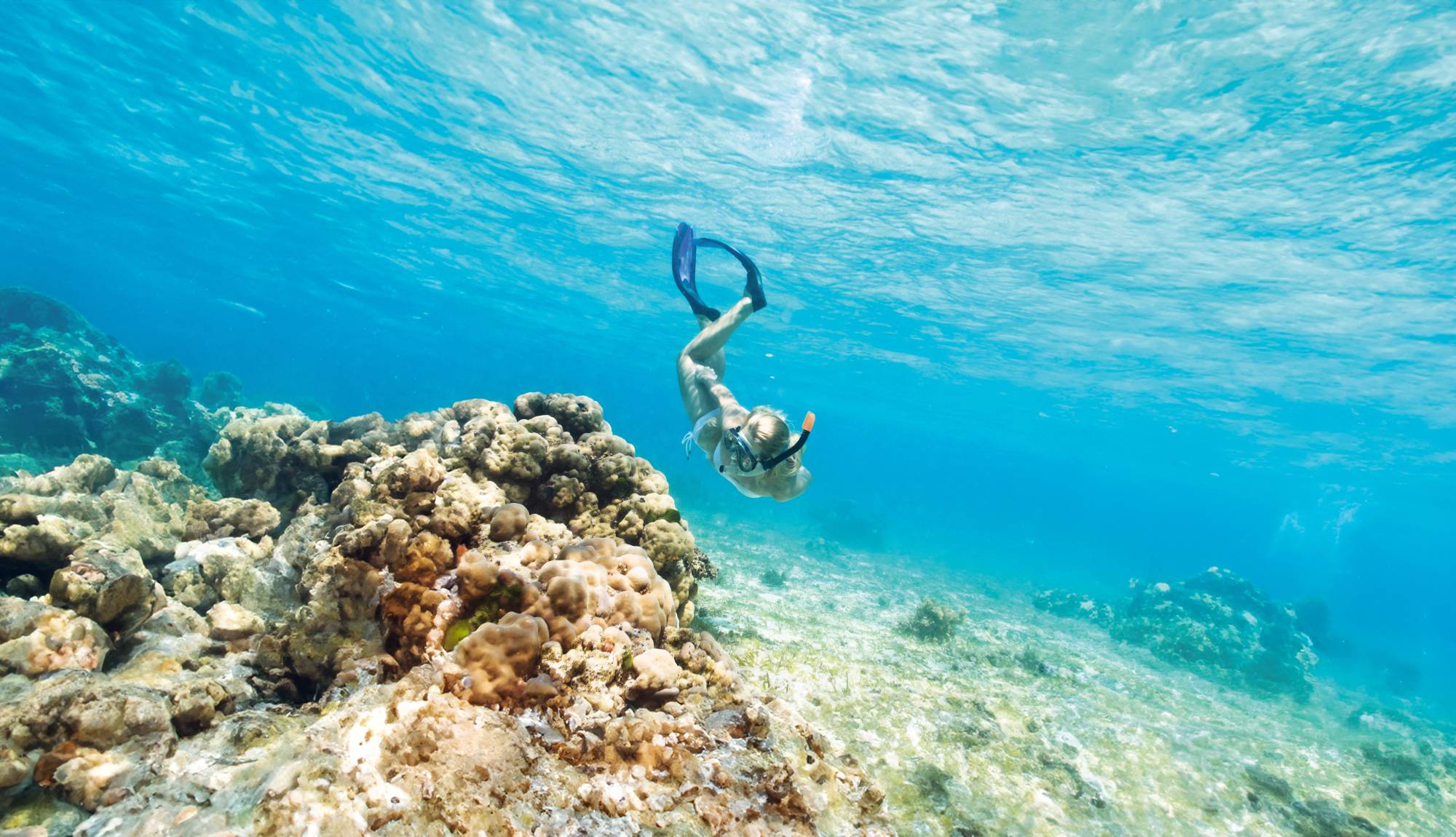 Grand Turk, Turks & Caicos - snorkelling