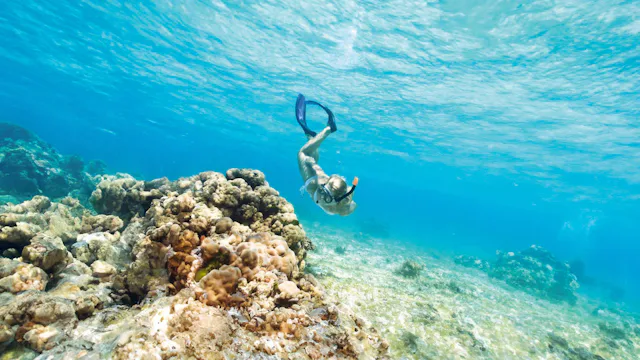 Grand Turk, Turks & Caicos - snorkelling