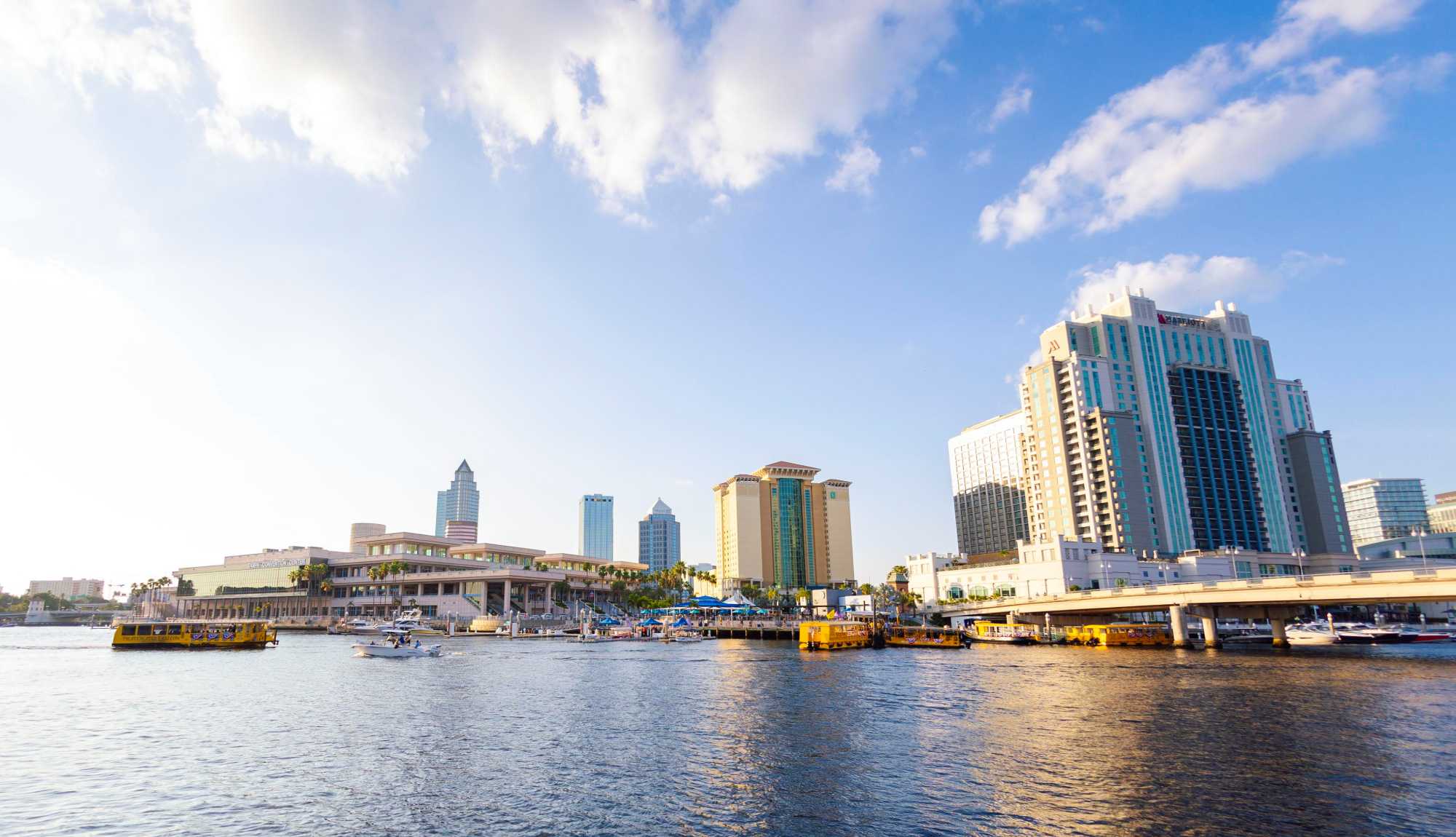 Tampa - Downtown Skyline